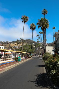 palm trees line the street in front of shops and restaurants on a sunny day with blue skies