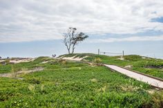 a path leading to the beach with people walking on it and trees in the distance