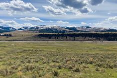 an open field with mountains in the background