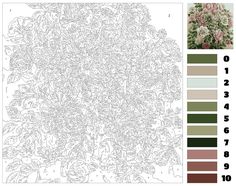 a coloring page with flowers and plants in the center, along with color swatches