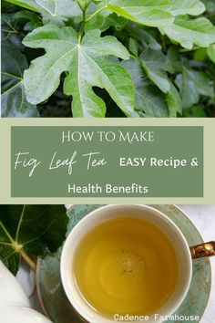 a cup of tea with leaves and the words how to make frog leaf tea easy recipe & health benefits