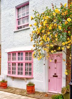 a pink door and window on the side of a building with potted plants in front of it