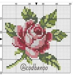 a cross stitch rose with the word'occhiampo written in cursive writing