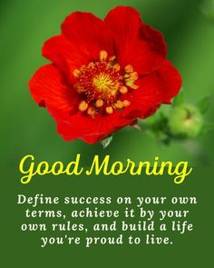 a red flower with the words good morning on it's side and green background