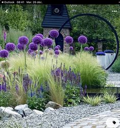 a garden with purple flowers and green grass in the middle, surrounded by rocks and gravel