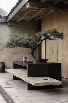 a bonsai tree sitting on top of a wooden bench next to a wall and potted plant