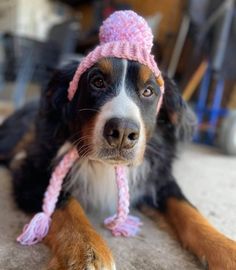 a dog is wearing a pink knitted hat and laying on the floor with its paws up