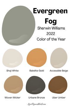 the color scheme for evergreen fog from sherylin williams's 2012 color of the year