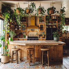 a kitchen with lots of potted plants on the wall and an island in the middle