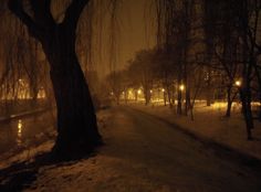 a snow covered park at night with trees and street lights on the side of the road