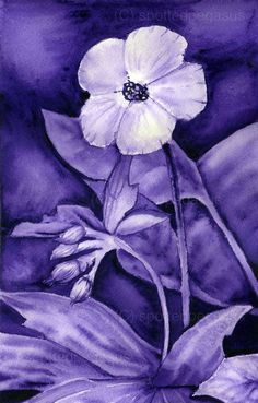 a painting of a white flower on a purple background