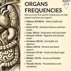 Frequency Healing, Lungs Health, Energy Medicine, Home Health Remedies, Healing Frequencies, Holistic Remedies, Kidney Health, Health Knowledge, Holistic Medicine