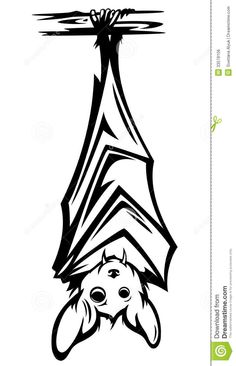 a bat hanging upside down from the ceiling in black and white stock photo - image