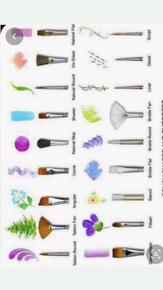 there are many different types of paintbrushes on this page, and each one has the same number of brushes