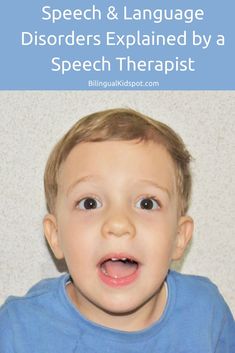 Speech Therapist Pat O’Malley takes you through different speech disorders and language disorders in children, and gives advice on speech therapy. Speech Disorders, Language Therapy Activities