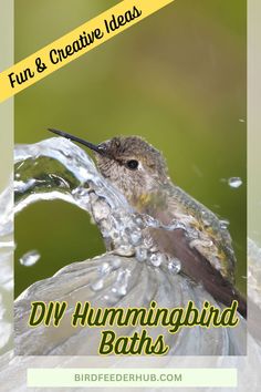 a hummingbird in the water with text overlay reading fun and creative ideas diy hummingbird baths