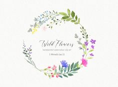 the wild flowers logo is shown with watercolor flowers and greenery in a circle