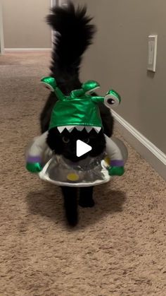 a black cat wearing a green hat and costume