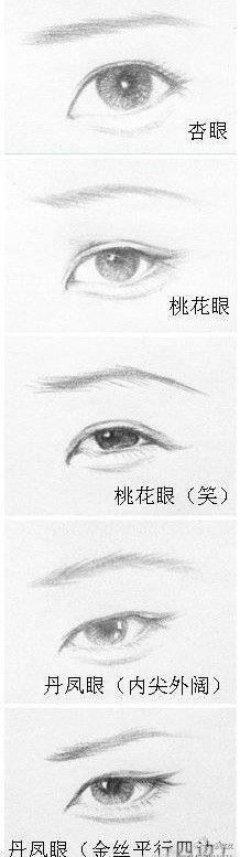 the different types of eyes are shown in chinese