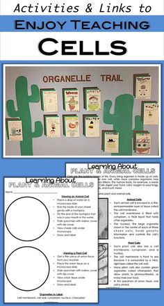 an activity and links to teach cells in the classroom with pictures on them, including cactuses