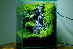 a fish tank filled with water and plants on top of a wooden table next to a wall