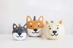 three painted pumpkins with faces of dogs and cats on them, all decorated in different colors