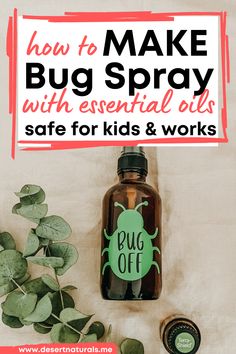 How to make bug spray with essential oils that's safe for kids and works.  2ml glass spray bottle with Bug sticker that says Bug Off and 15ml bottle of doTERRA Terrashield with sprig of eucalyptus in the background. Essential Oil Bug Repellent, Homemade Bug Spray