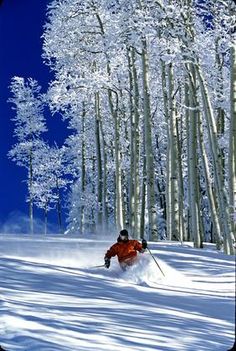 a man riding skis down the side of a snow covered slope next to tall trees