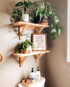 some plants are sitting on shelves above a toilet