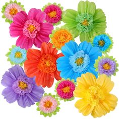 large assortment of colorful flowers on white background