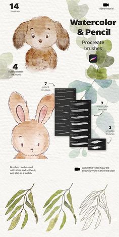 an info sheet showing the different types of plants and animals that are in this image