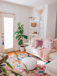 a living room filled with furniture and a potted plant on top of a rug