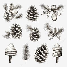 hand drawn christmas elements gift candy cane pine cone sketch black and white png Sketch Black And White, Black And White Png, Hand Drawn Christmas, White Png, Christmas Elements, Pine Cone, Christmas Baby, All Things Christmas