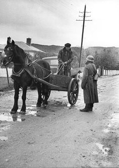 two men standing next to a horse drawn carriage