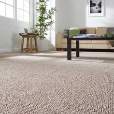 a living room scene with focus on the carpet