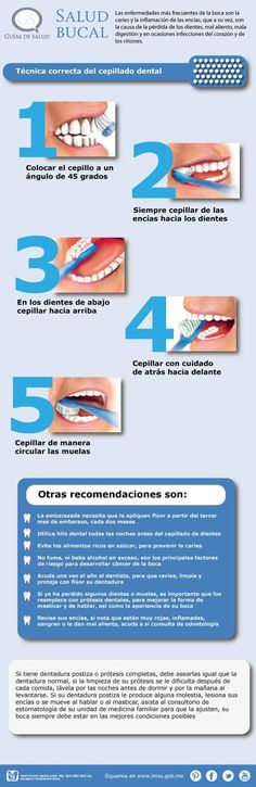 Salud Bucal (Técnica correcta cepillado dental) Esthetic Dentistry, Holistic Dentistry, Aesthetic Dentistry, Restorative Dentistry, Implant Dentistry, Dental Kids