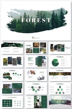 the forest powerpoint presentation is displayed in green and white