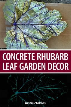 the cover of concrete rhubarb leaf garden decor by instructables