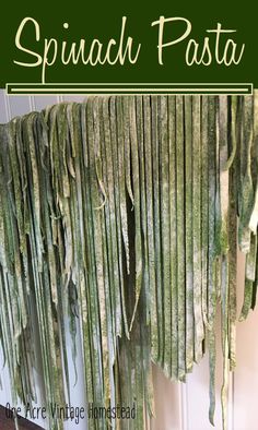 this is an image of spinach pasta hanging on the wall with text overlay that says spinach pasta