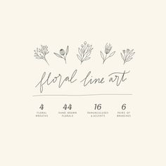 the floral line art font and numbers