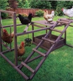 several chickens are standing in the grass near a wooden structure with steps leading up to it