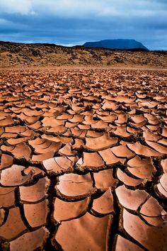 the ground is covered with dirt and has no leaves on it, but there are mountains in the distance