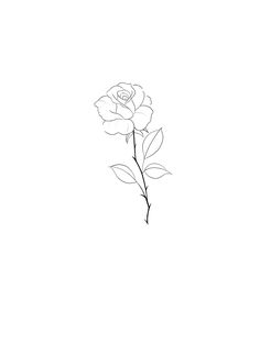 a black and white drawing of a single rose