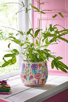 a potted plant sitting on top of a window sill next to a pink door