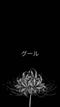 a black and white photo of a flower with japanese writing on the bottom right corner