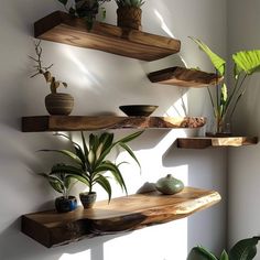 three wooden shelves with plants on them