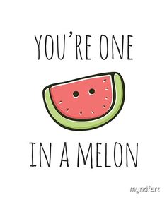 a watermelon slice with the words you're one in a melon