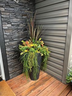 a potted plant sitting on top of a wooden floor next to a door way