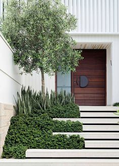 the steps are lined with plants and trees in front of the door to the house