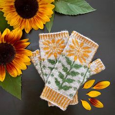 two sunflowers are next to some knitted mitts on a black surface